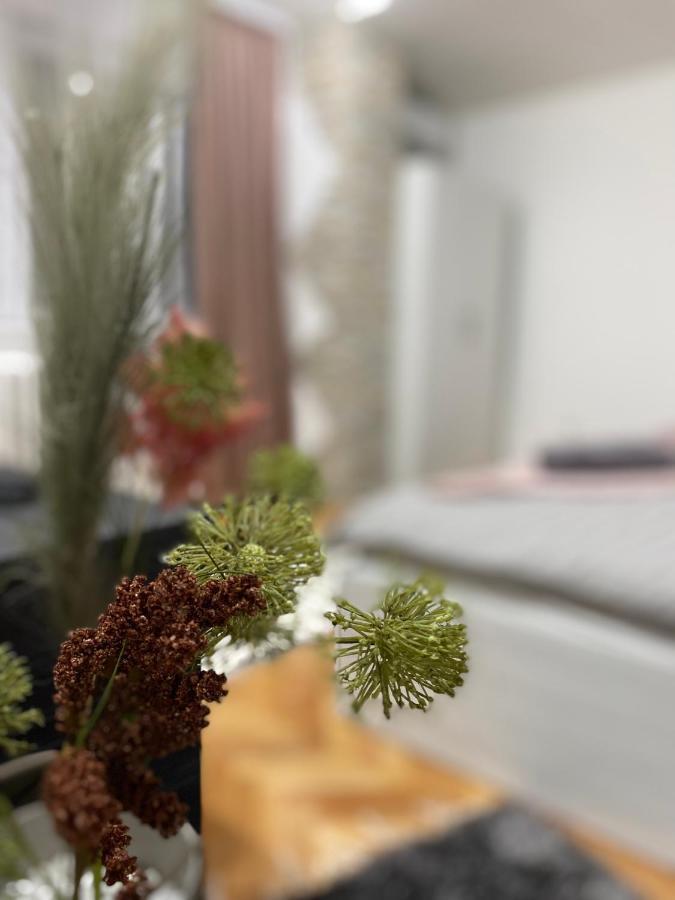 Apartman Bonaca Ni Buitenkant foto