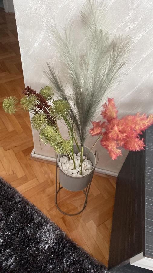Apartman Bonaca Ni Buitenkant foto